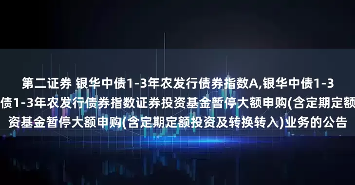 第二证券 银华中债1-3年农发行债券指数A,银华中债1-3年农发行债券指数D: 银华中债1-3年农发行债券指数证券投资基金暂停大额申购(含定期定额投资及转换转入)业务的公告